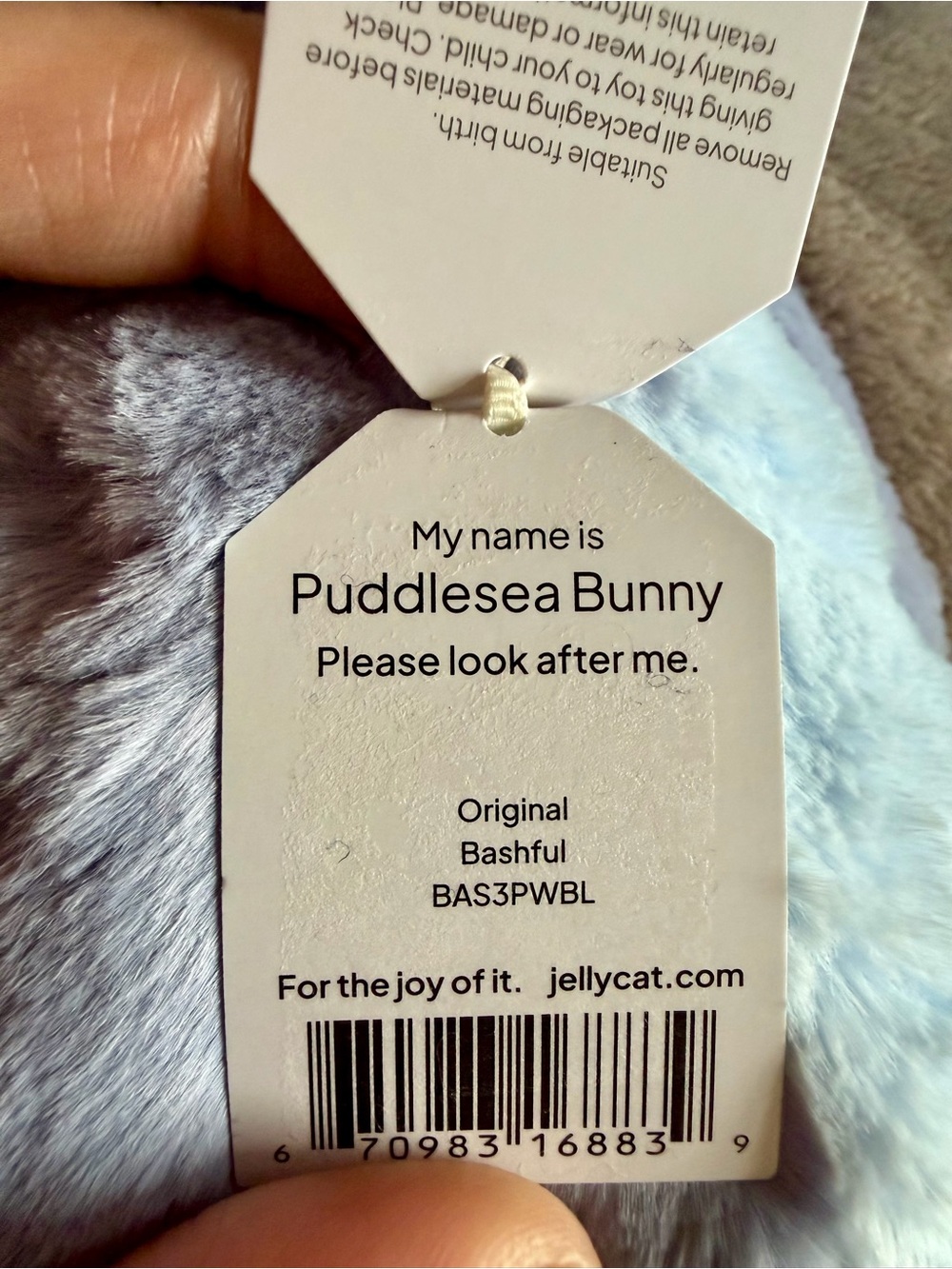 🐰💙𝐀𝐮𝐭𝐡𝐞𝐧𝐭𝐢𝐜 𝐉𝐞𝐥𝐥𝐲𝐜𝐚𝐭 𝐏𝐮𝐝𝐝𝐥𝐞𝐬𝐞𝐚 𝐁𝐮𝐧𝐧𝐲 💙🐰 - Picture 4 of 6